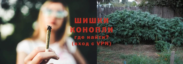 индика Балабаново