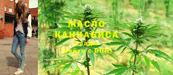 индика Балабаново