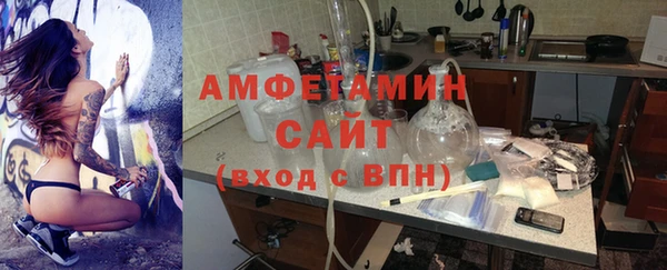 индика Балабаново