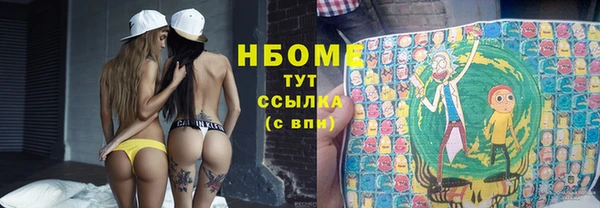 индика Балабаново